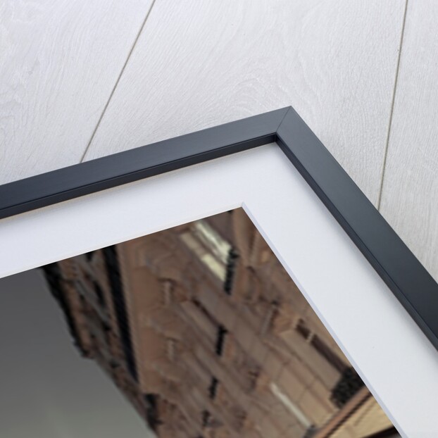 Notre-Dame de Paris, France by Assaf Frank